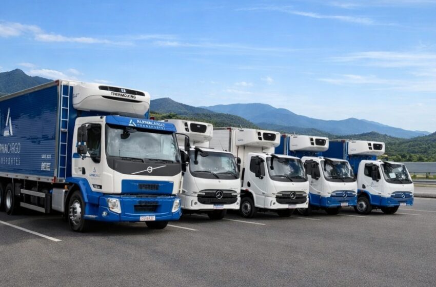  Certificação OEA deve alavancar negócios imediatos na casa de 20% na Alpha Cargo
